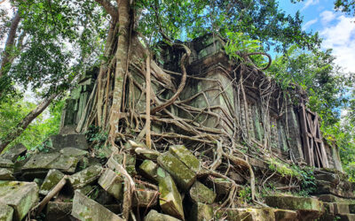 Angkor Ruin Tour
