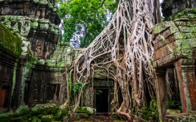 Happy Angkor Tour